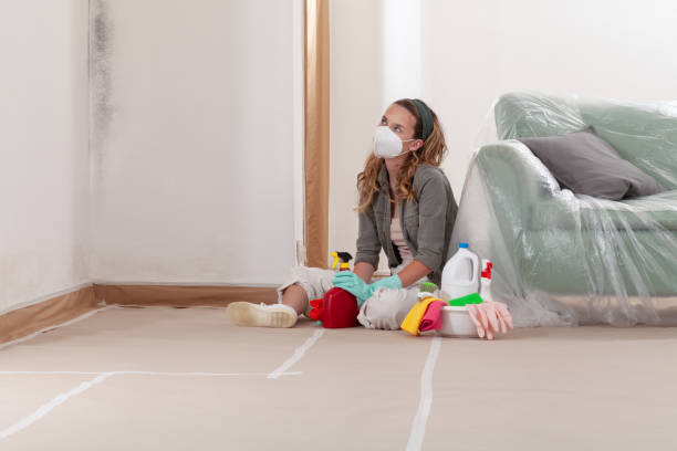 Reliable Mold Inspection contractor in Newport, PA by WQB Mold Removal